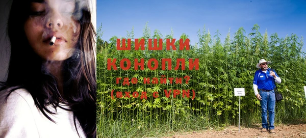 мдпв Кодинск