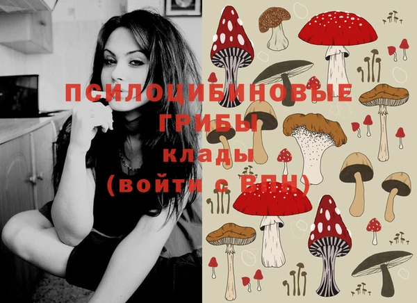 метадон Белокуриха