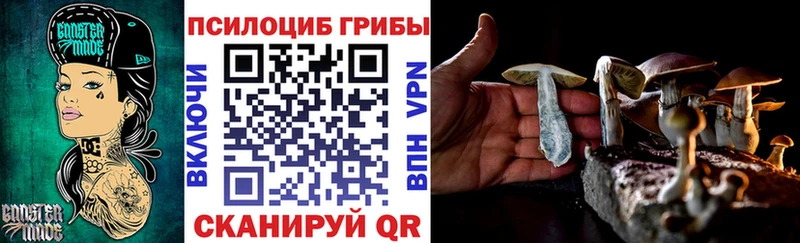 купить  сайты  Шагонар  Псилоцибиновые грибы мухоморы 