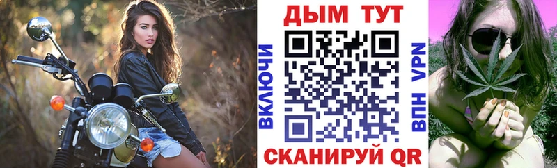 где продают наркотики  Шагонар  Шишки марихуана Ganja 